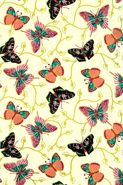 BORBOLETA 4