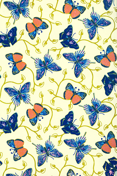 BORBOLETA 3