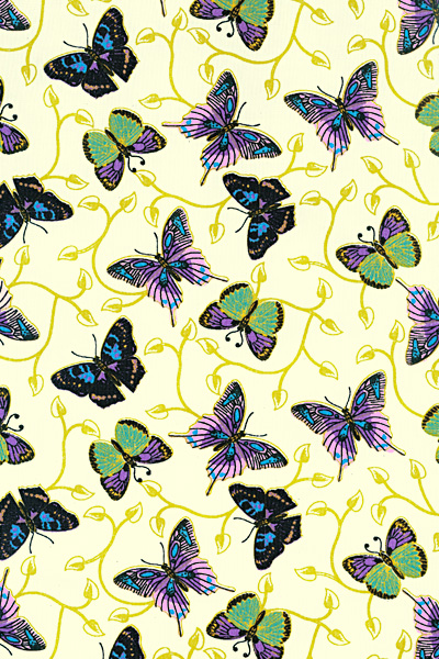BORBOLETA 2