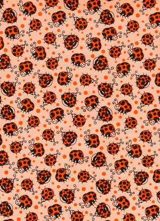 LADYBUG 1
