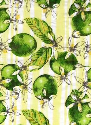 LEMON LISTRADO 1