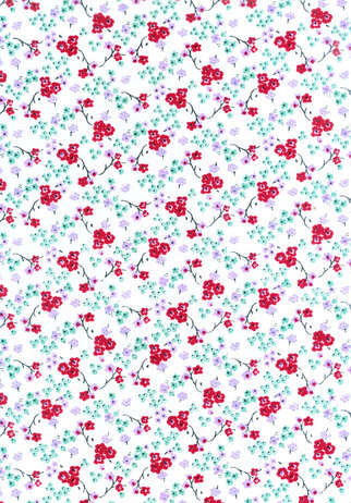 LILASES 1
