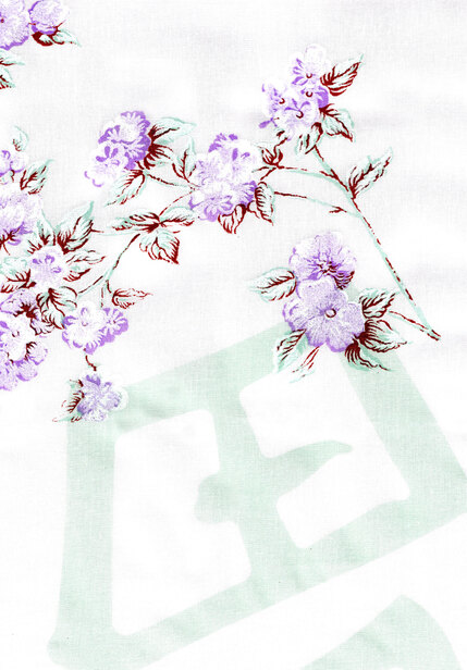 MIRAITOWA 1