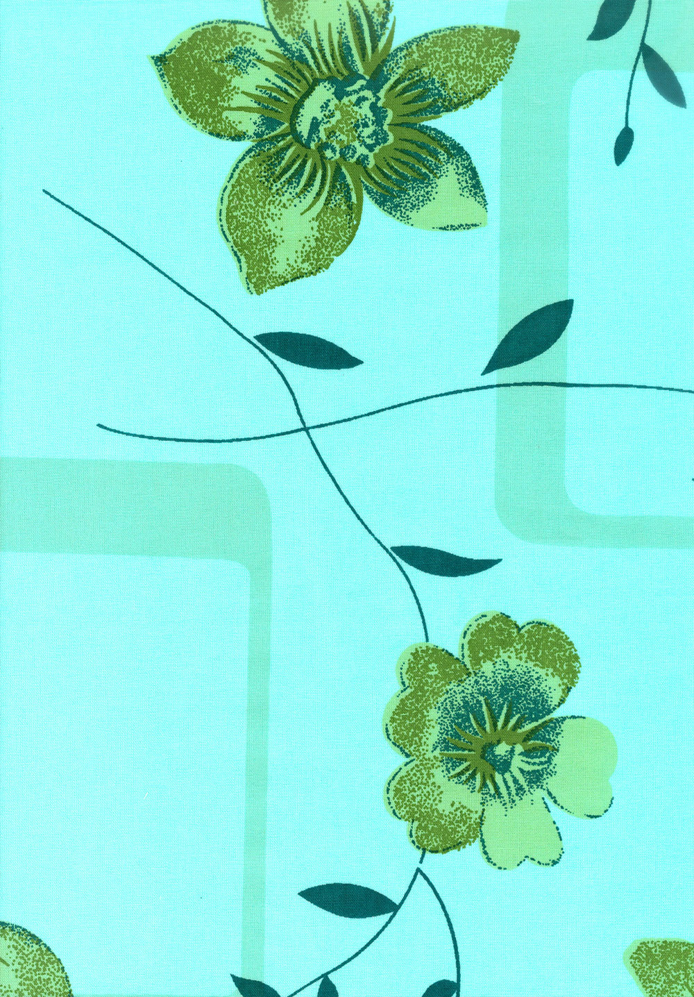 PALM 1
