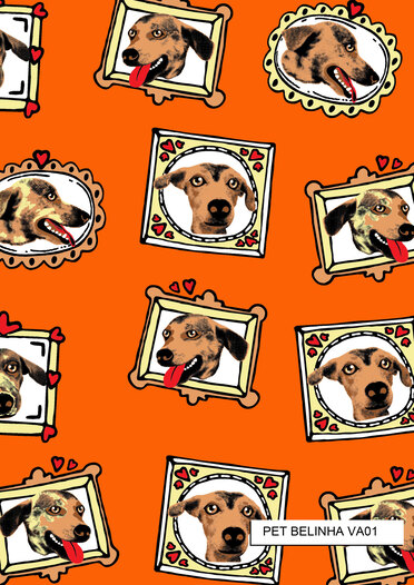 PET-BELINHA 1