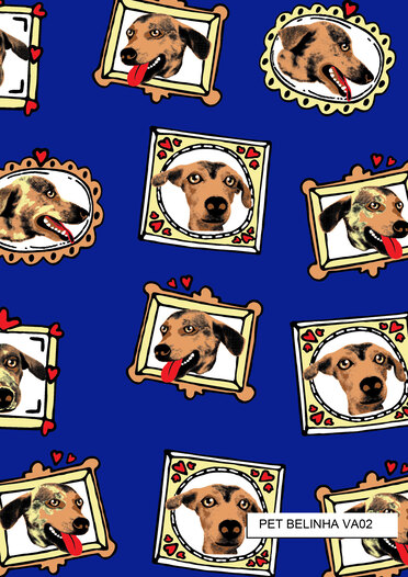 PET-BELINHA  2