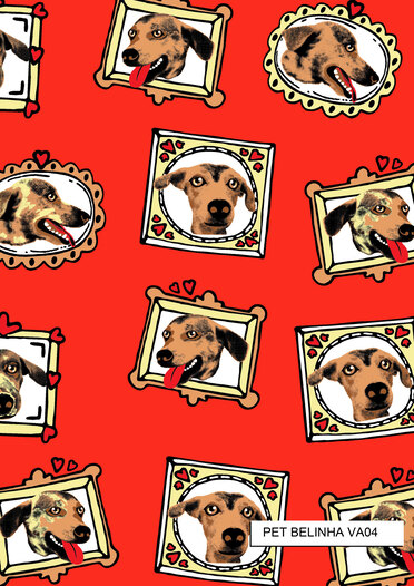 PET-BELINHA  4