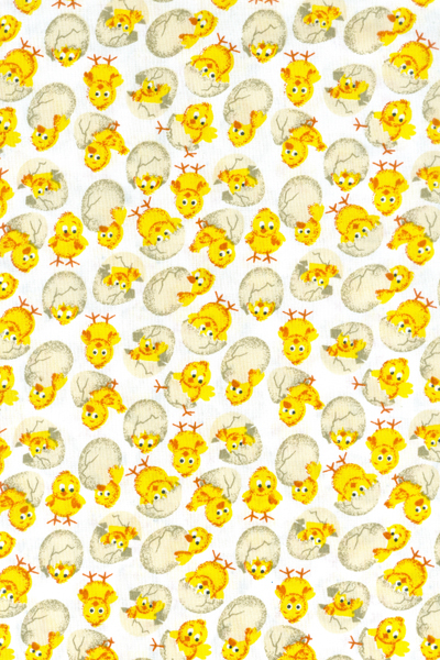 PINTINHO 1