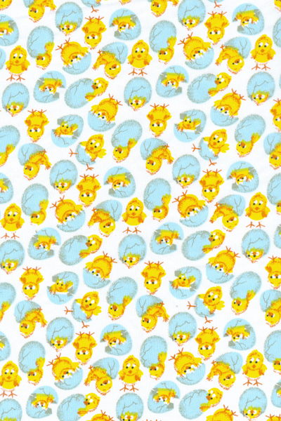 PINTINHO 2