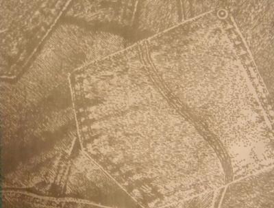 Indigo tex 3