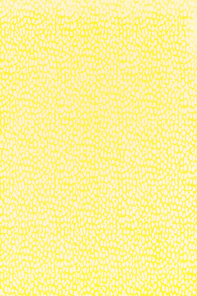 Animal Print 1