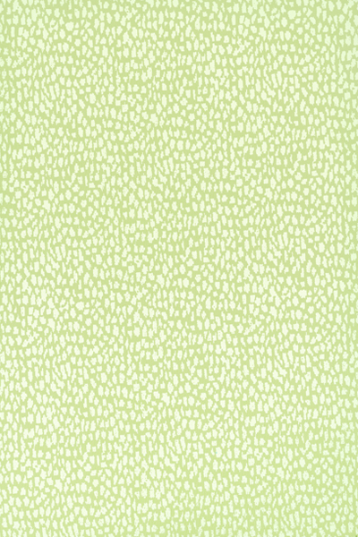 Animal Print 2
